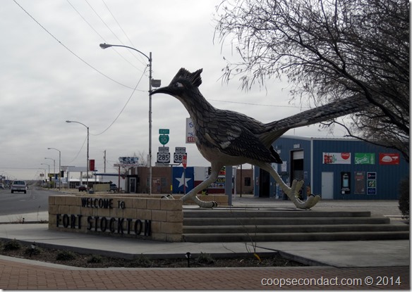 Fort Stockton, yes, that's a road runner